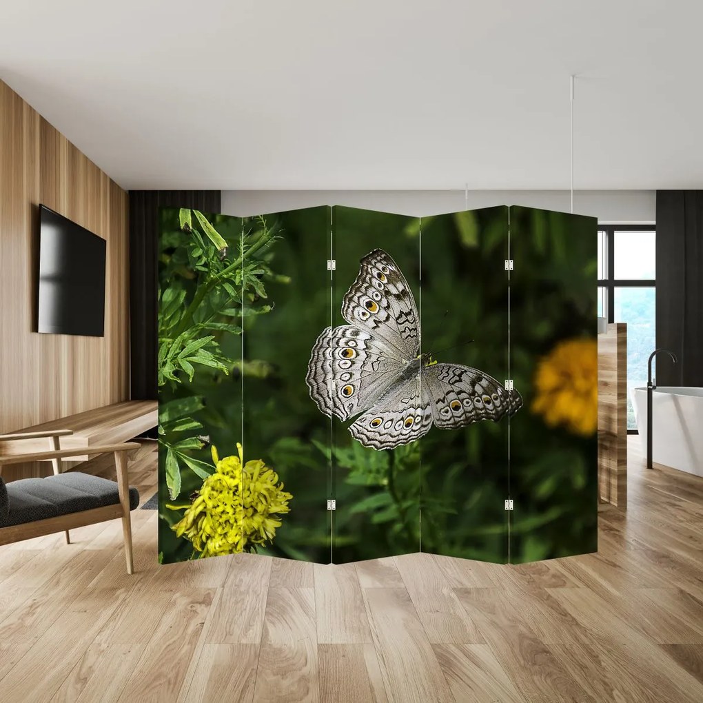 Parawan - Biały motyl (210x170 cm)