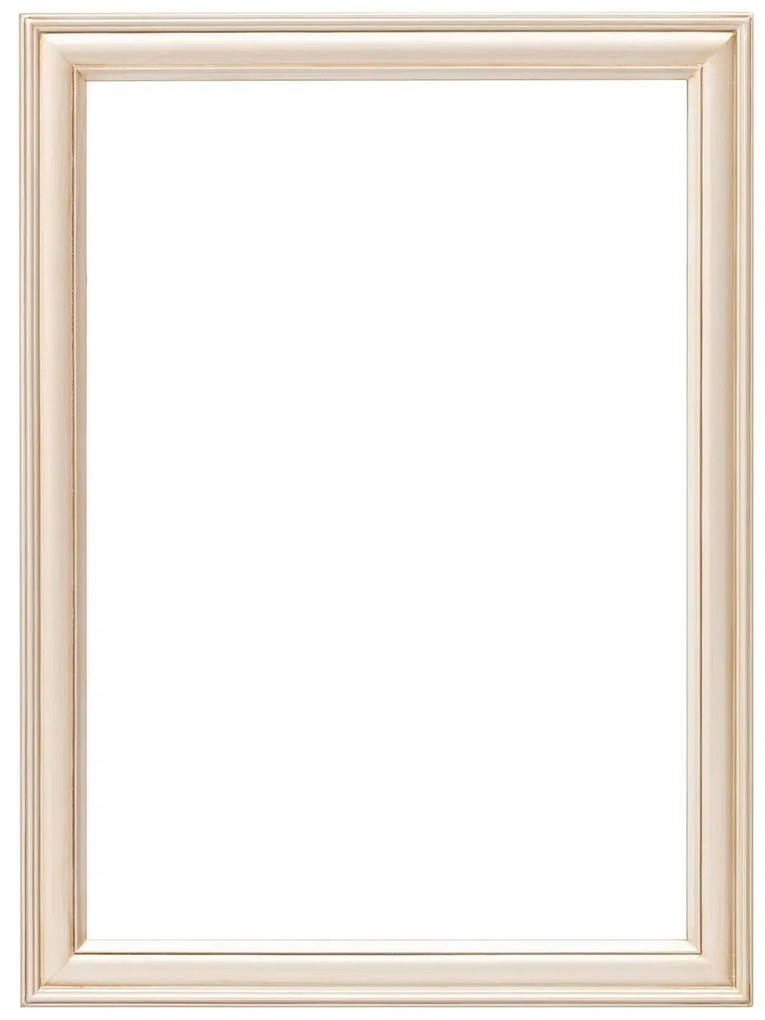 Rama Ricca 60x80cm silver