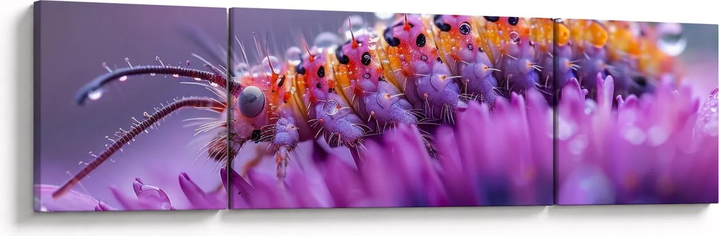 Obraz - Caterpillar (170x50 cm)