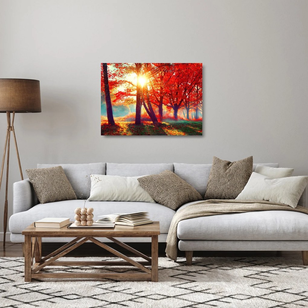 Obraz na szkle- Jesienny krajobraz (70x50 cm)