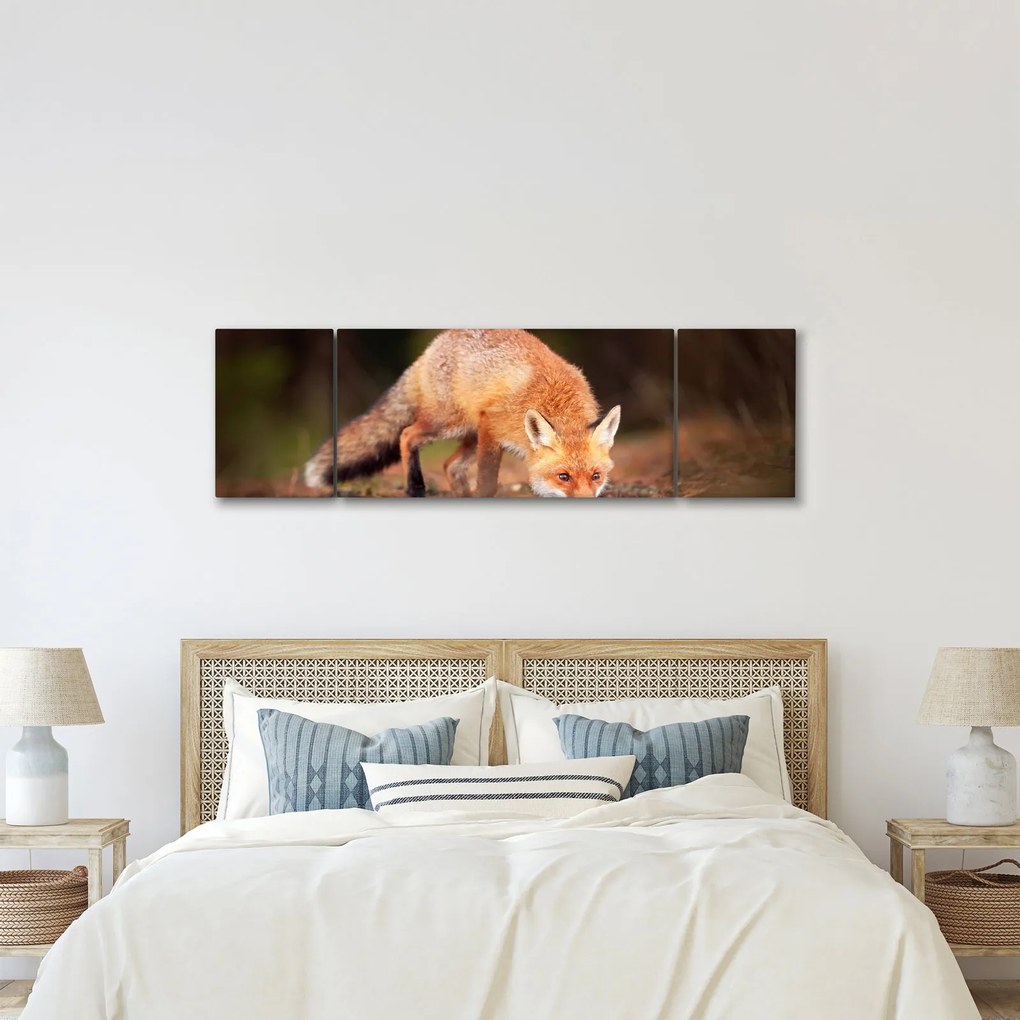Obraz - Lis w lesie (170x50 cm)
