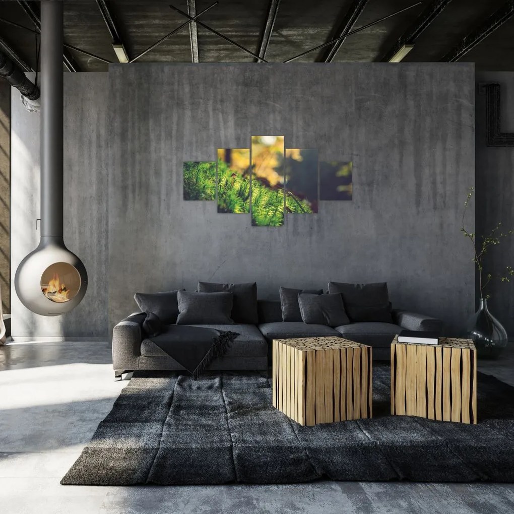 Obraz mchu z grzybem (125x70 cm)