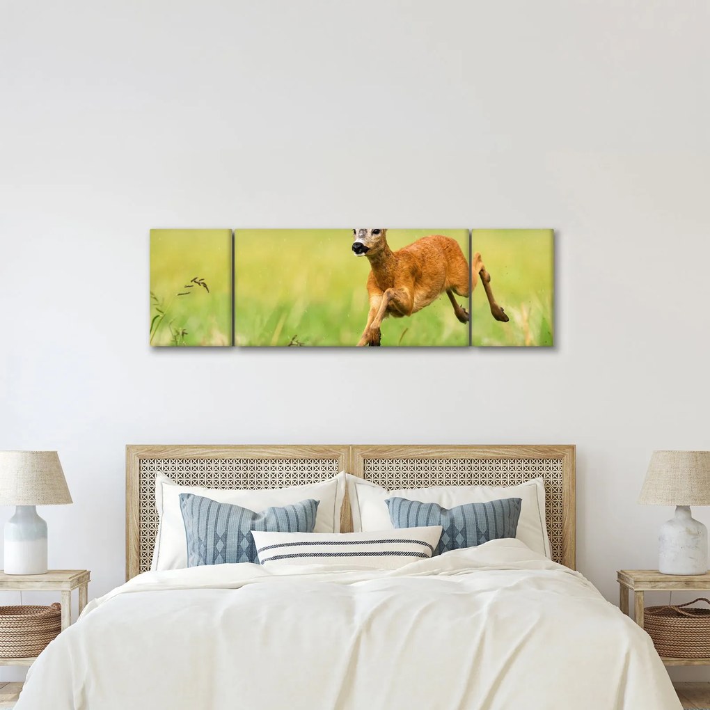 Obraz - Sarna (170x50 cm)