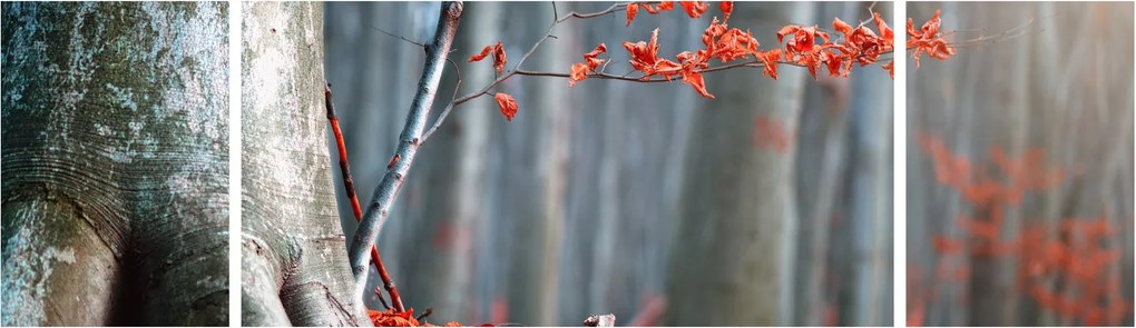Obraz - Jesień (170x50 cm)