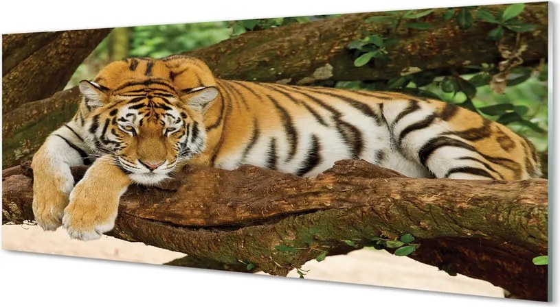 Szkło do Kuchni na Ścianę Tygrys Wspinający się na Drzewo