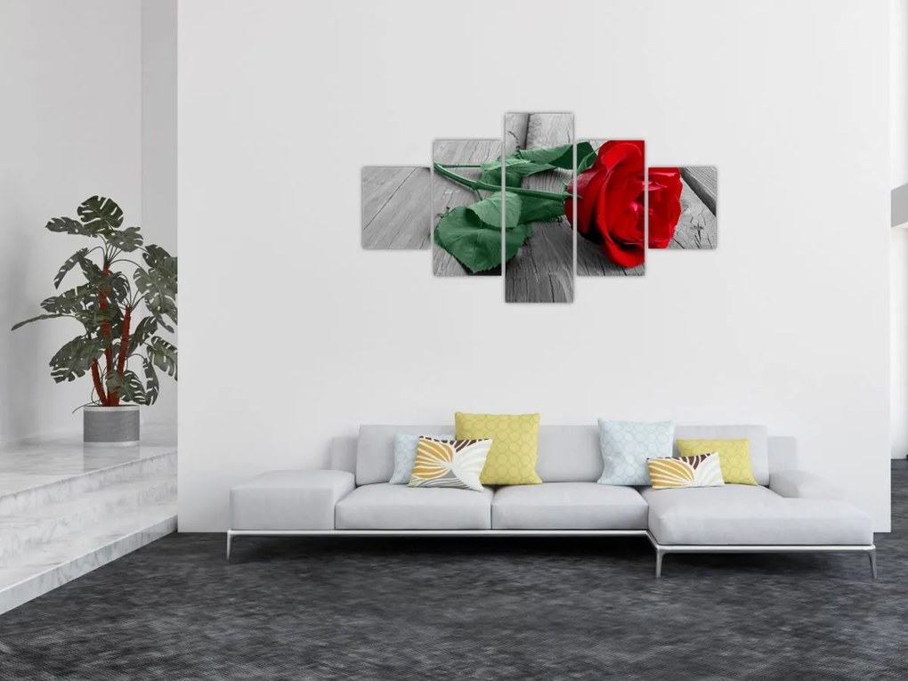 Obraz - Czerwona róża z zieloną łodygą (125x70 cm)
