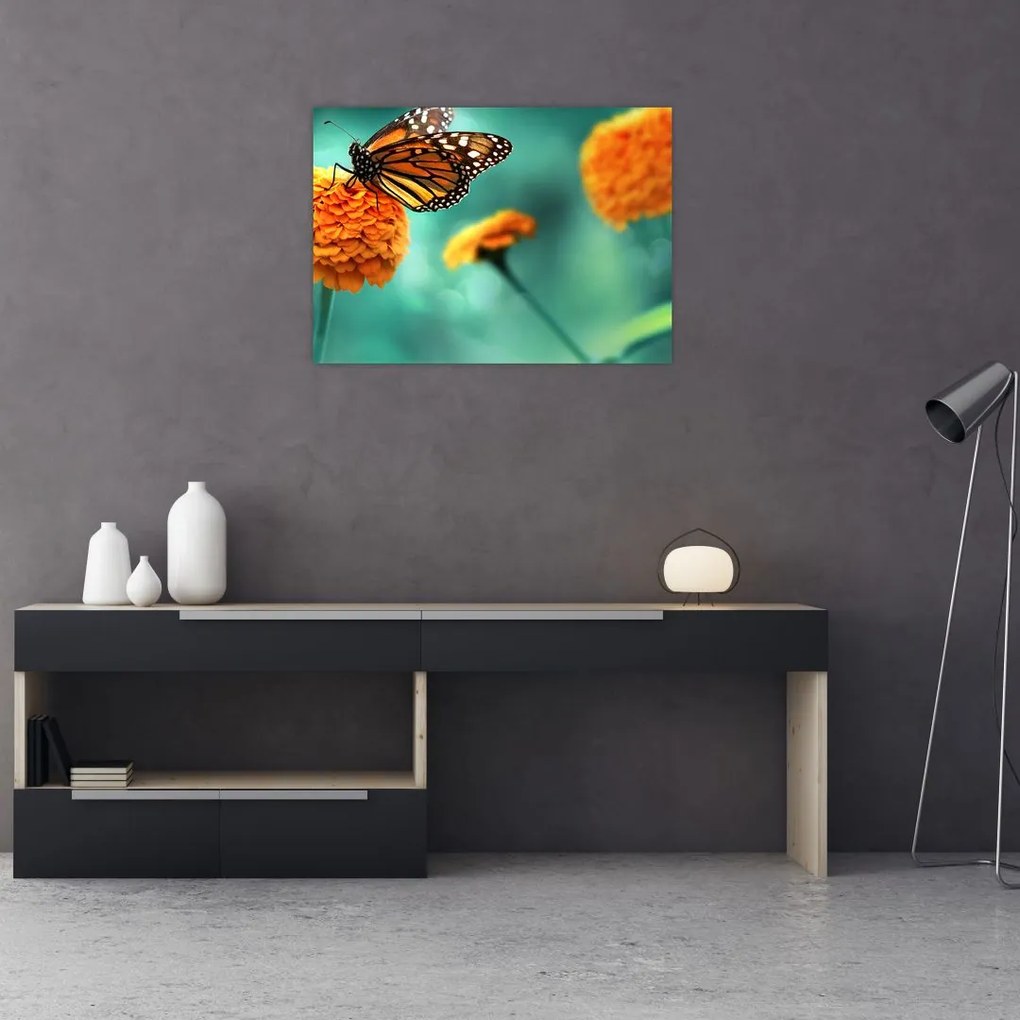 Obraz na szkle motyla (70x50 cm)