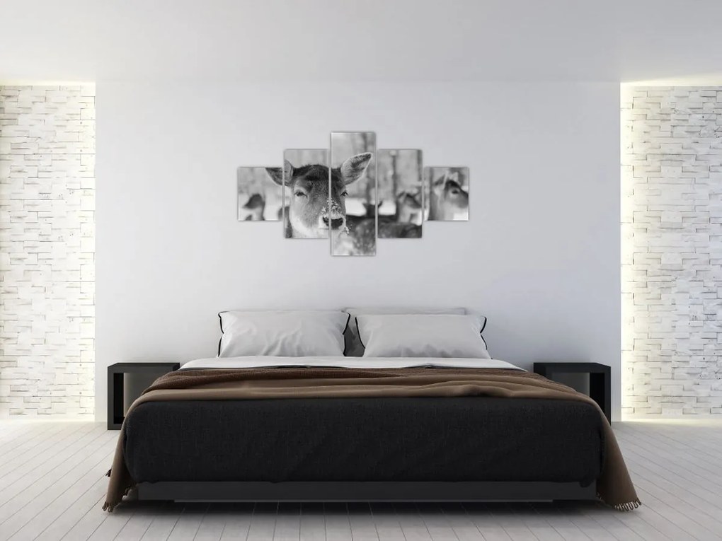 Obraz - Jelonki, czarno - biały (125x70 cm)