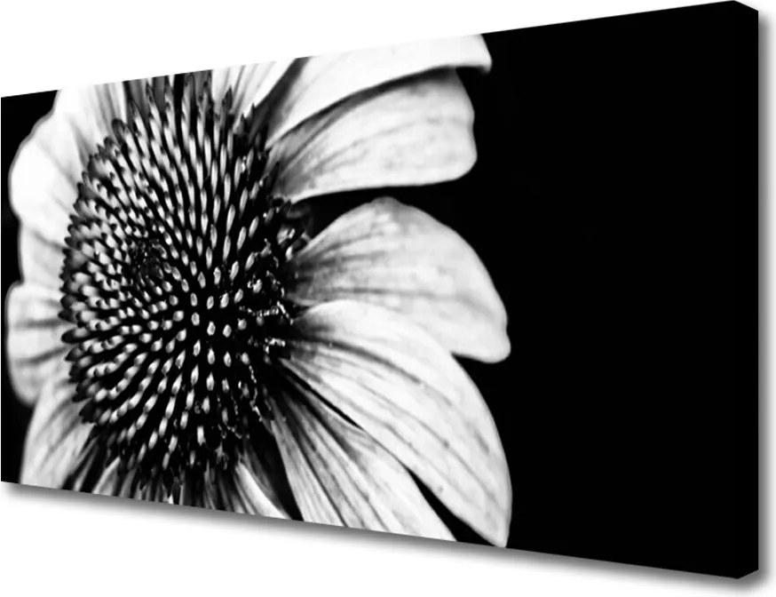 Obraz drukowany na płótnie Rozkwitająca Natura