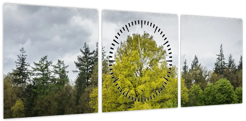 Obraz zielonego drzewa na środku pola (z zegarem) (90x30 cm)
