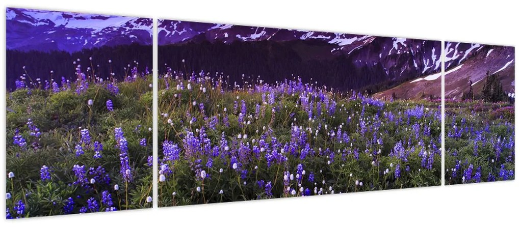 Obraz - Wulkan i kwiaty (170x50 cm)