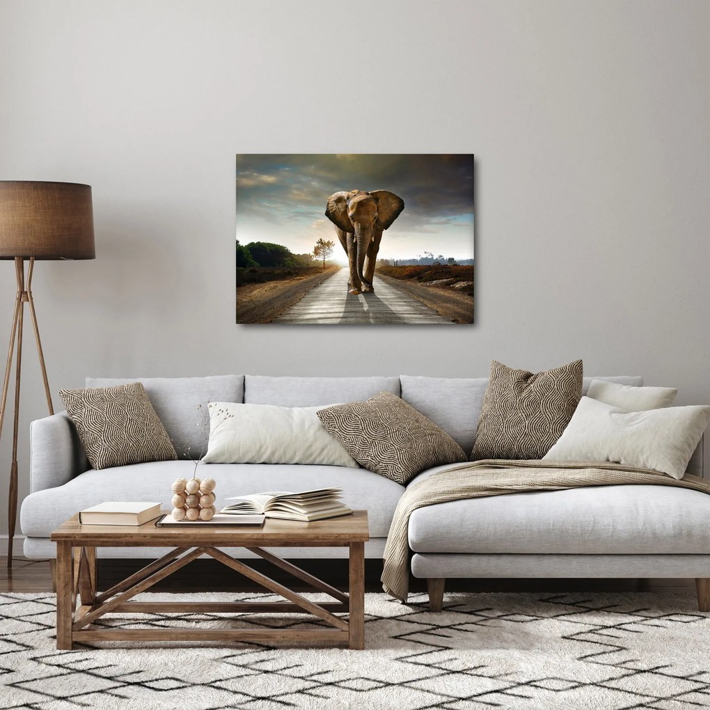 Obraz słonia (70x50 cm)