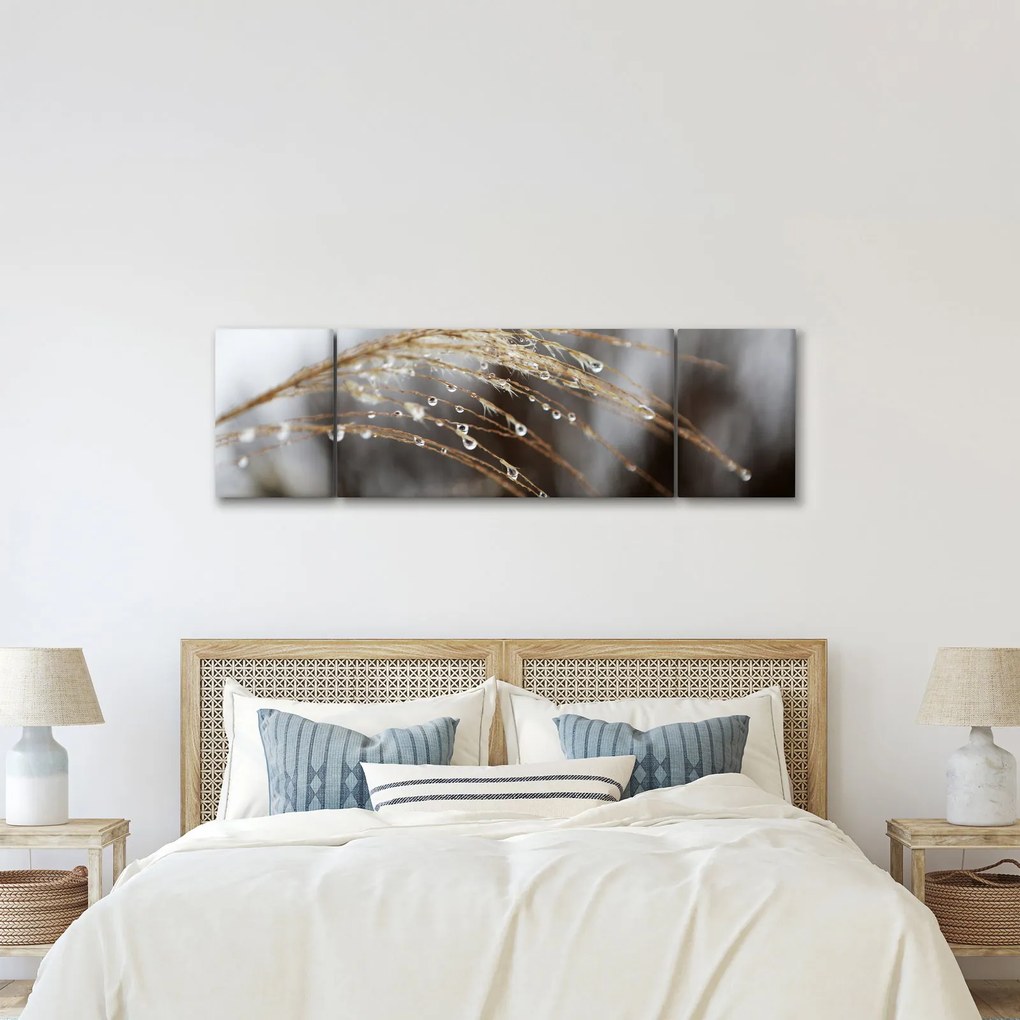 Obraz kropli na roślinie (170x50 cm)