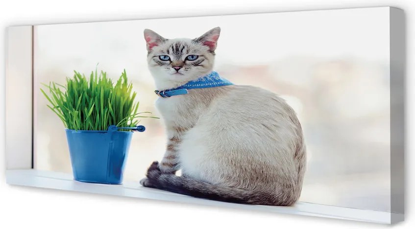 Fotoobraz na płótnie Dostojny Siedzący Kot