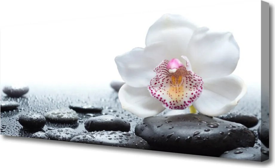 Obraz canvas Malarska Interpretacja Storczyka