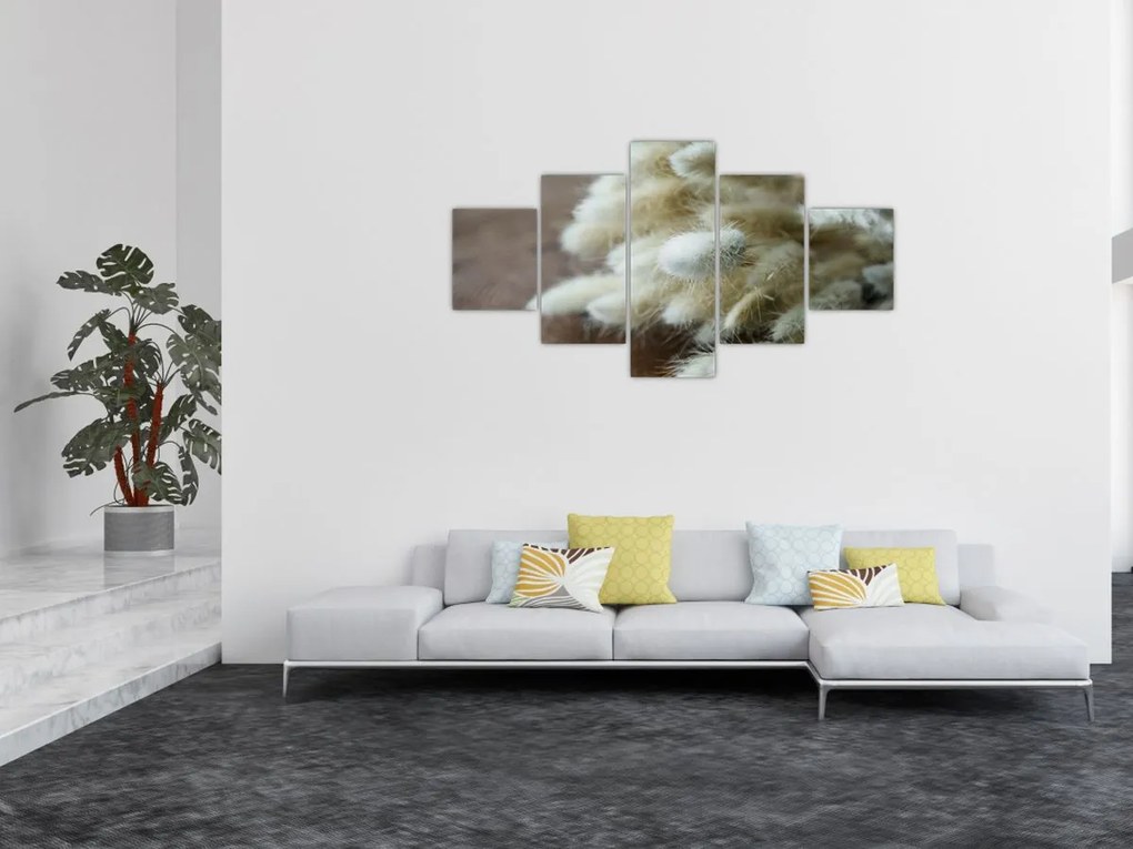 Obraz - Zajęczy ogonek (125x70 cm)