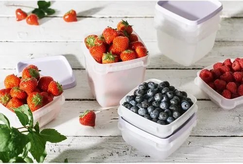 SmartStore Zestaw plastikowych pojemników Freezer 3 szt., lawenda, 1000 ml, 1000 ml