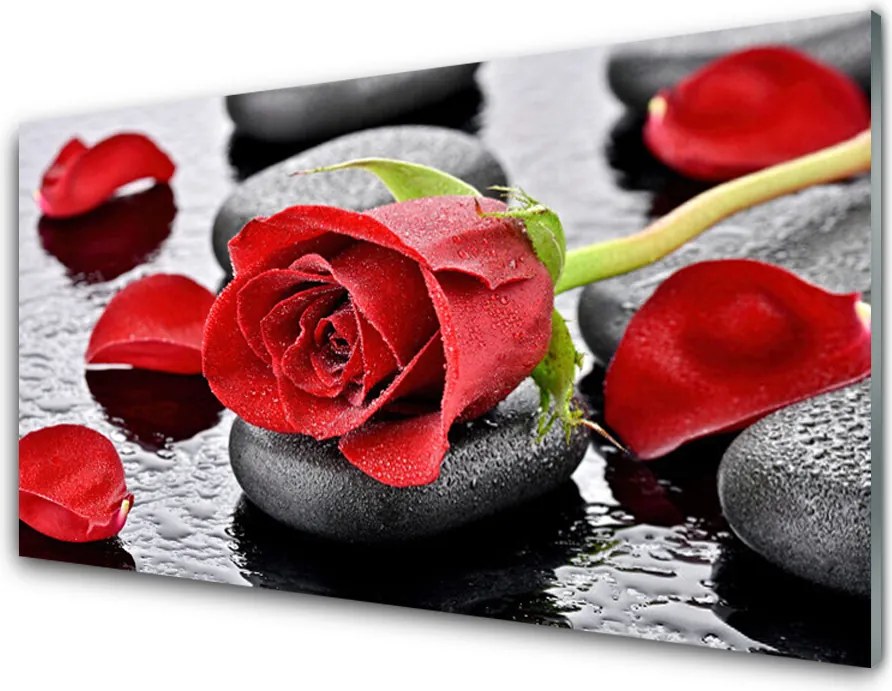 Szkło Ozdobne do Kuchni Królowa Ogrodów: Czerwona Róża