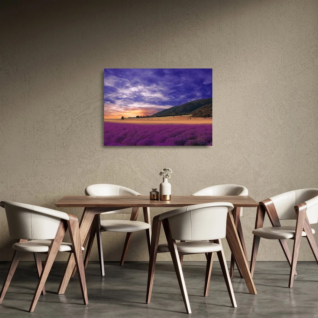 Obraz na szkle lawendowej łąki (70x50 cm)