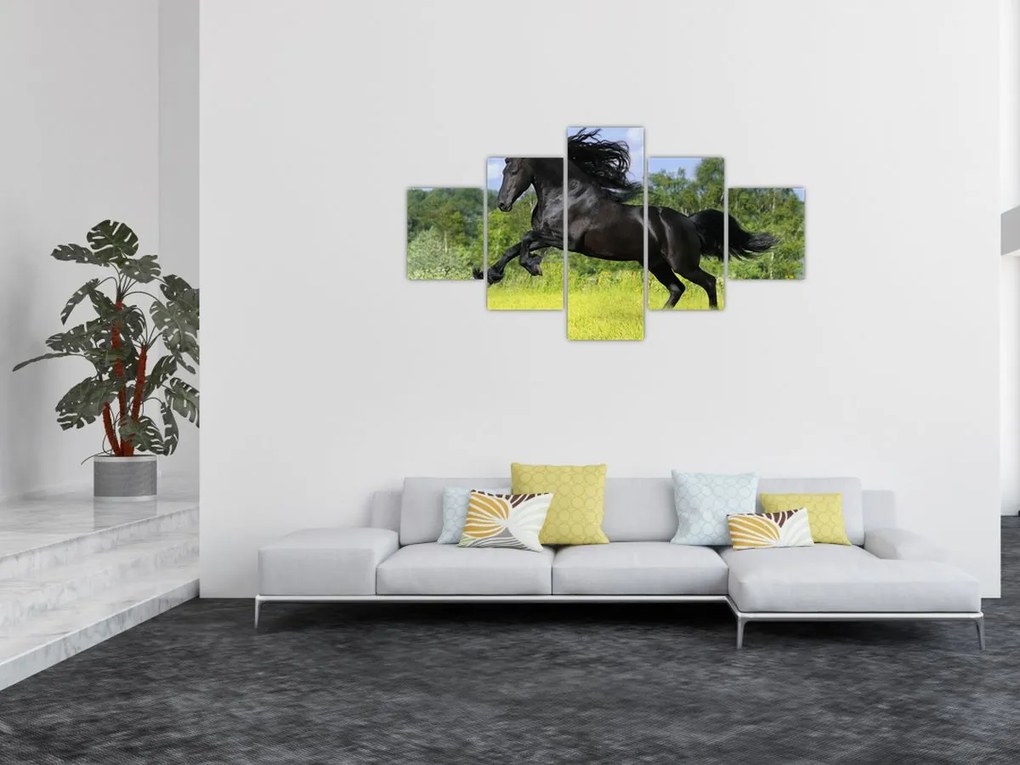 Obraz - Koń z płynącą grzywą (125x70 cm)