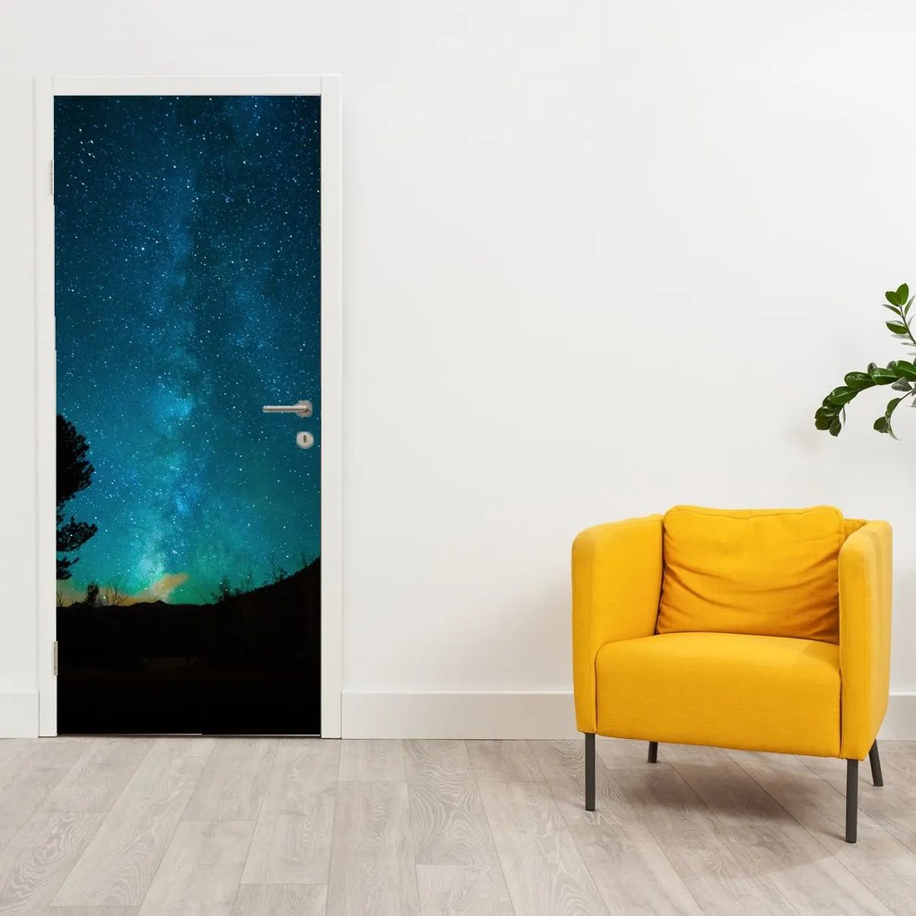 Fototapeta na drzwi - Nocne niebo z gwiazdami (95x205cm)