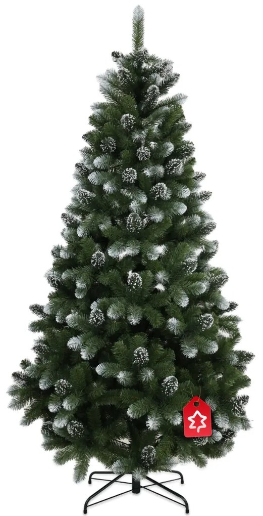 Sosna ośnieżona 180 cm