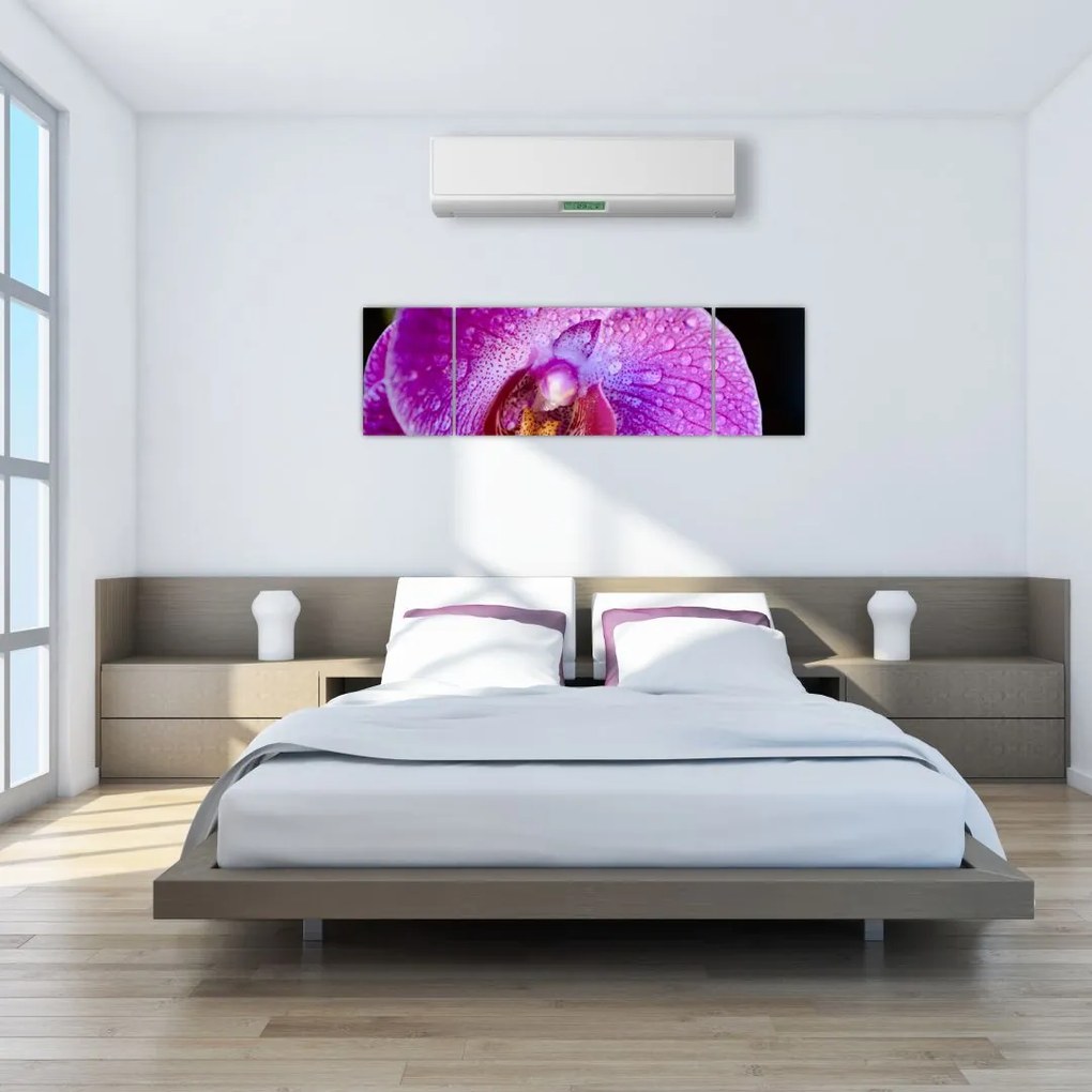 Zbliżenie kwiatu orchidei (170x50 cm)