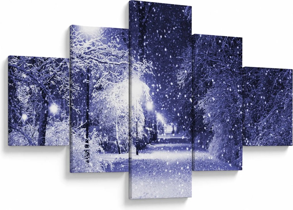 Obraz - Magiczna zimowa noc (125x70 cm)