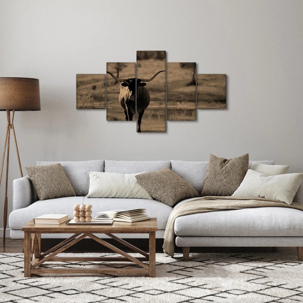 Obraz - Krowa z Teksasu (125x70 cm)