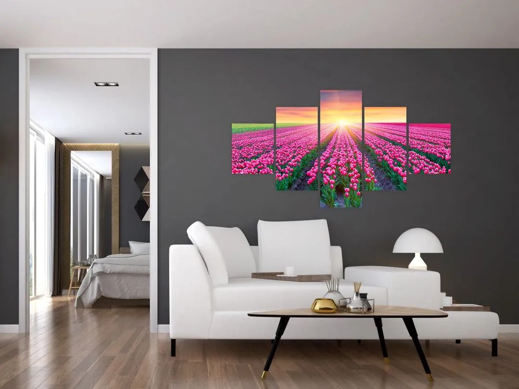 Obraz pole tulipanów ze słońcem (125x70 cm)
