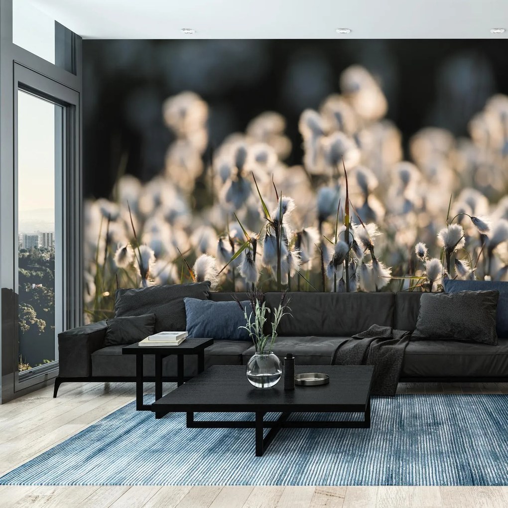 Fototapeta - Kwiat łąkowy (196x136 cm)