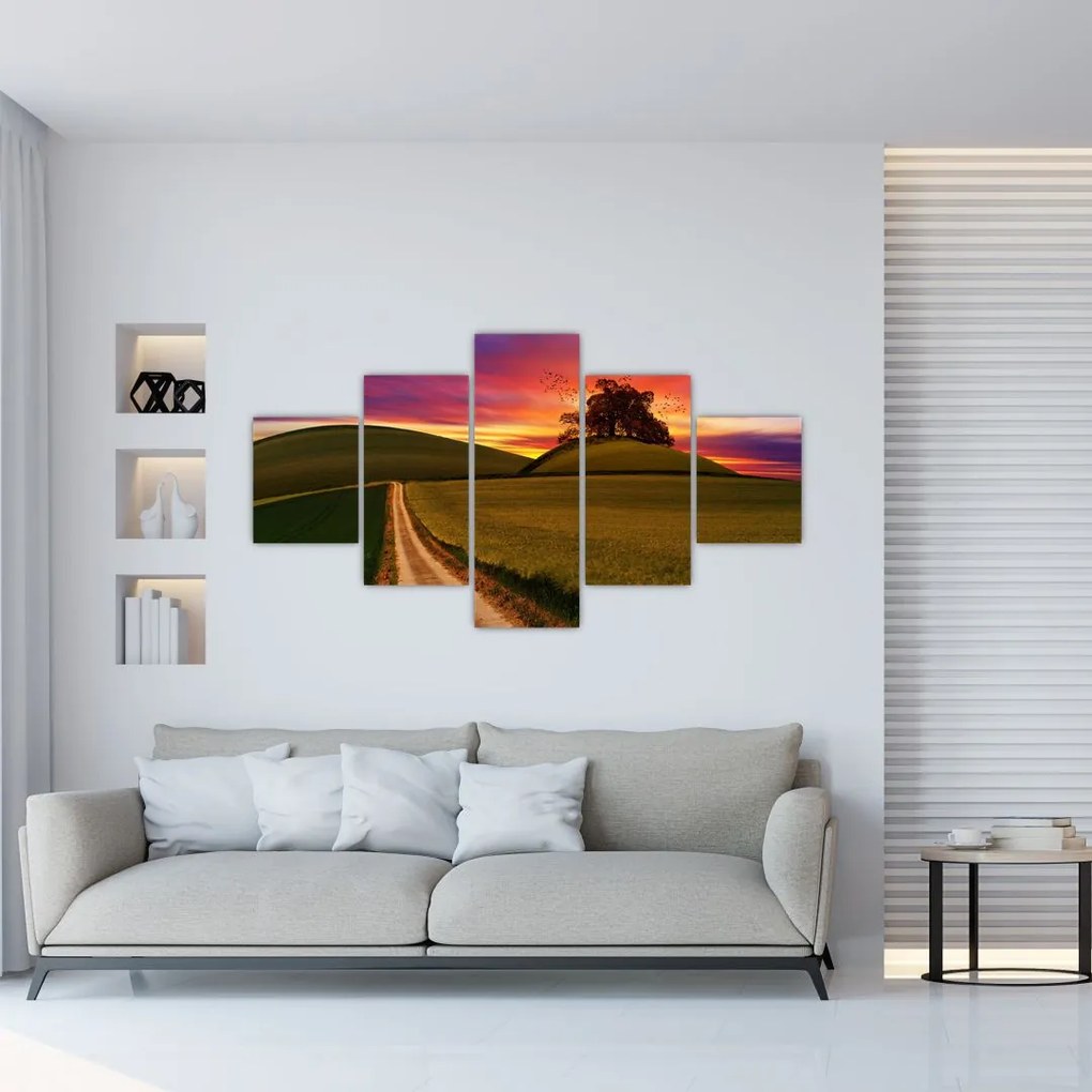 Obraz pola z zachodem słońca (125x70 cm)