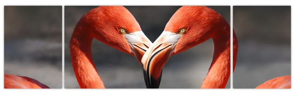 Obraz dwóch zakochanych flamingów (170x50 cm)