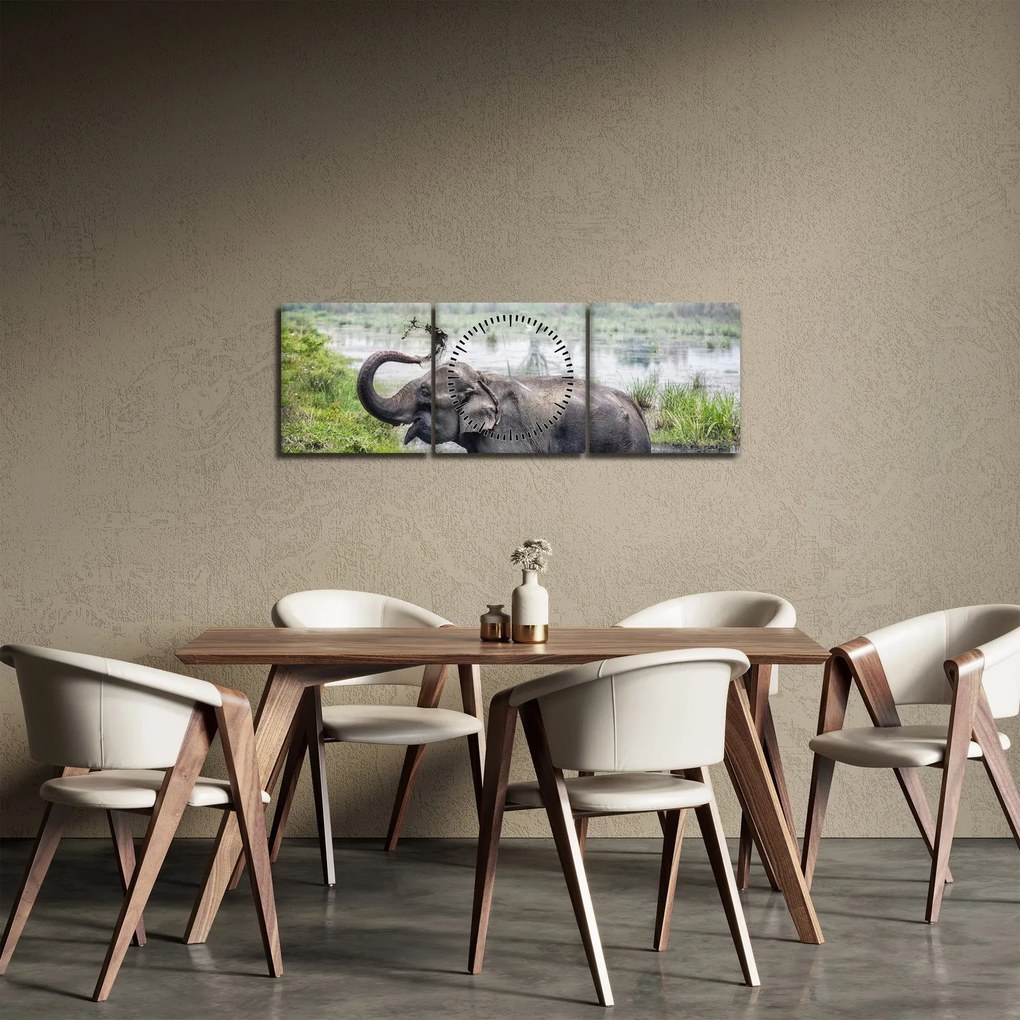 Obraz - Kąpiący się słoń (z zegarem) (90x30 cm)