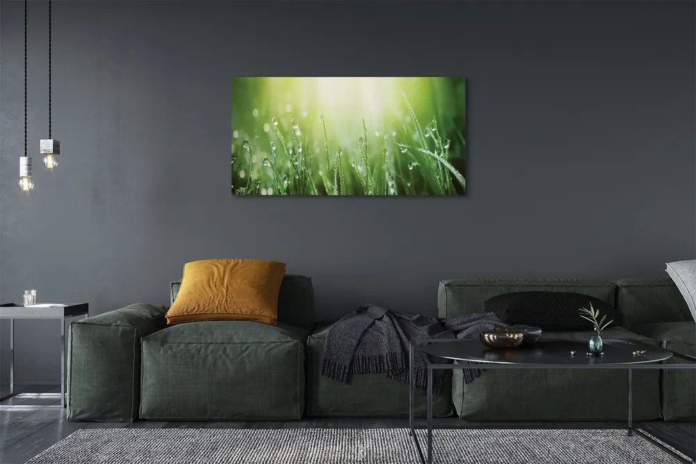 Zdjęcie na płótnie Słoneczne Krople na Trawie