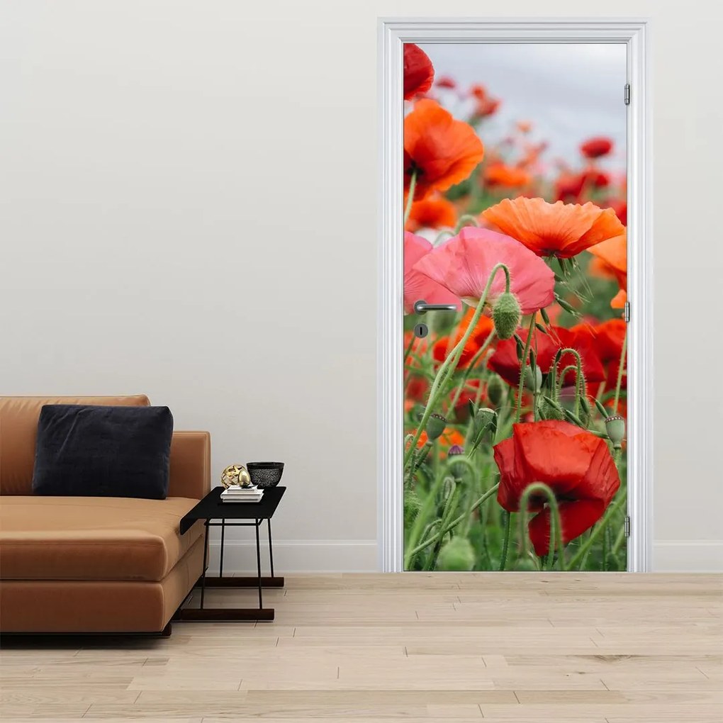 Fototapeta na drzwi - Pole maków (95x205cm)