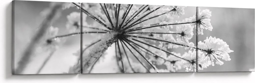 Obraz - Kwiat w zimie (170x50 cm)