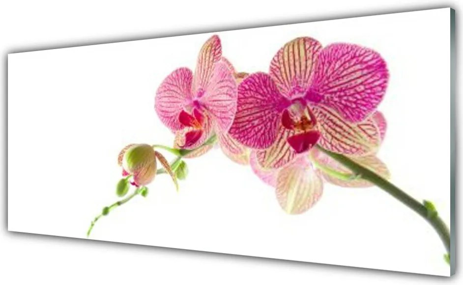 Panel nad blat kuchenny Bukiet Polnych Kwiatów