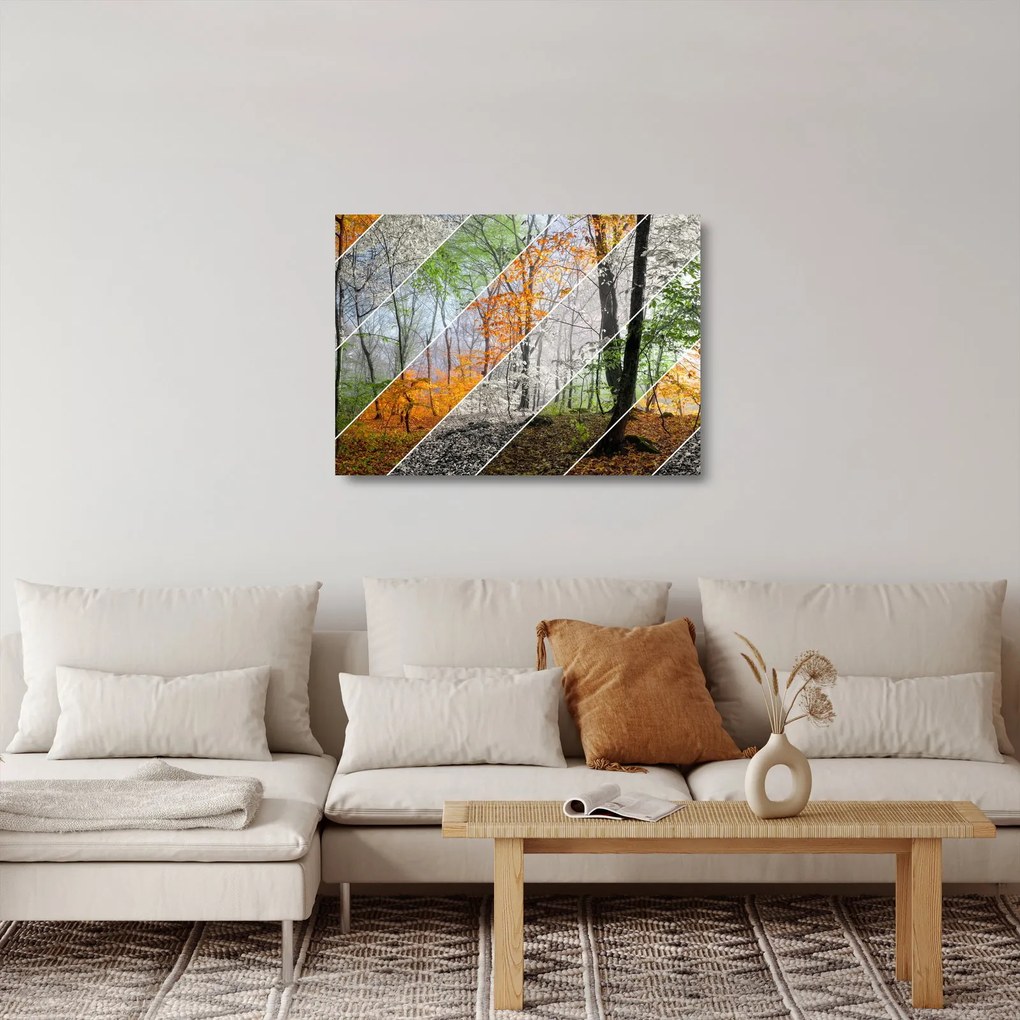 Obraz na szkle - Zmieniające się pory roku (70x50 cm)