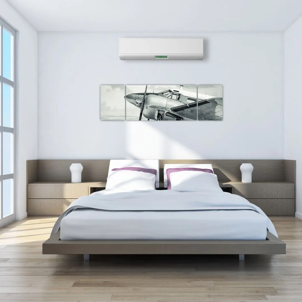 Obraz - Samolot (170x50 cm)