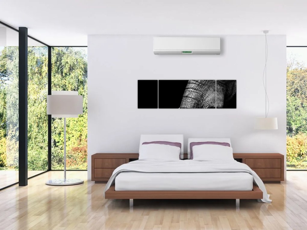 Obraz - Kły słonia (170x50 cm)