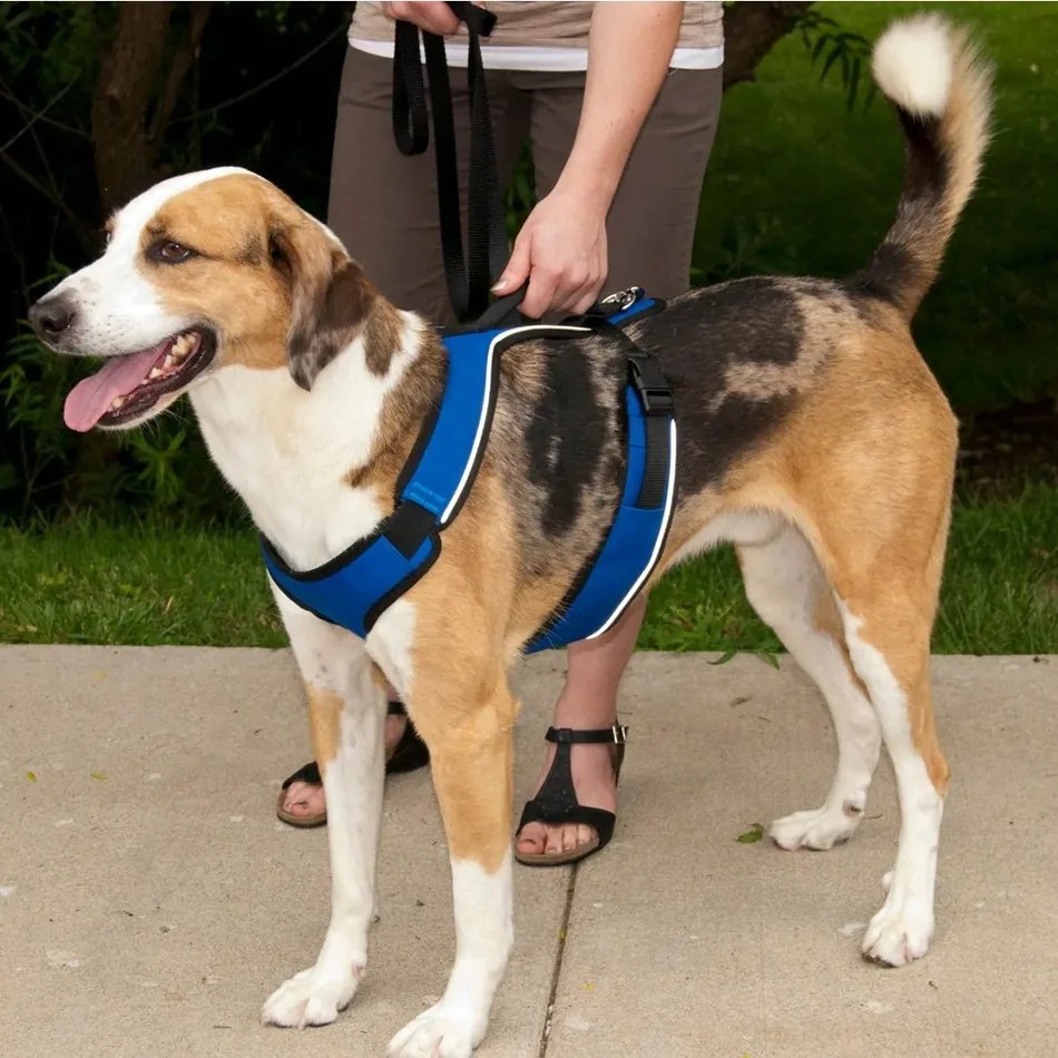PetSafe Uprząż EasySport czerwona M