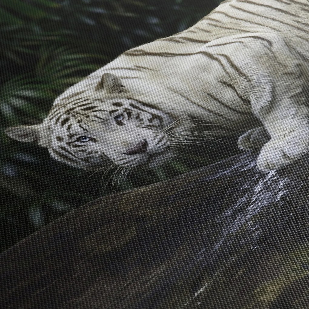 Obraz - Tygrys albinos (125x70 cm)