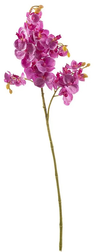 Kwiat Orchid Fuchsia 55cm