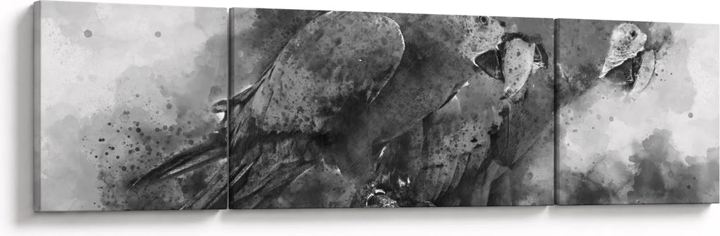 Obraz - Papugi akwarelowe (170x50 cm)