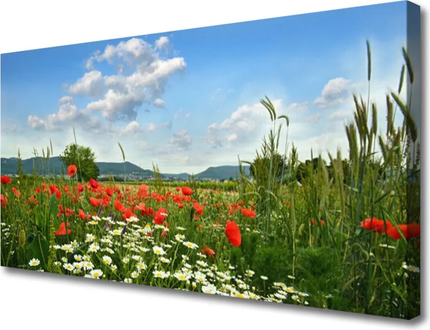 Obraz canvas Sielska Polana Kwiatowa