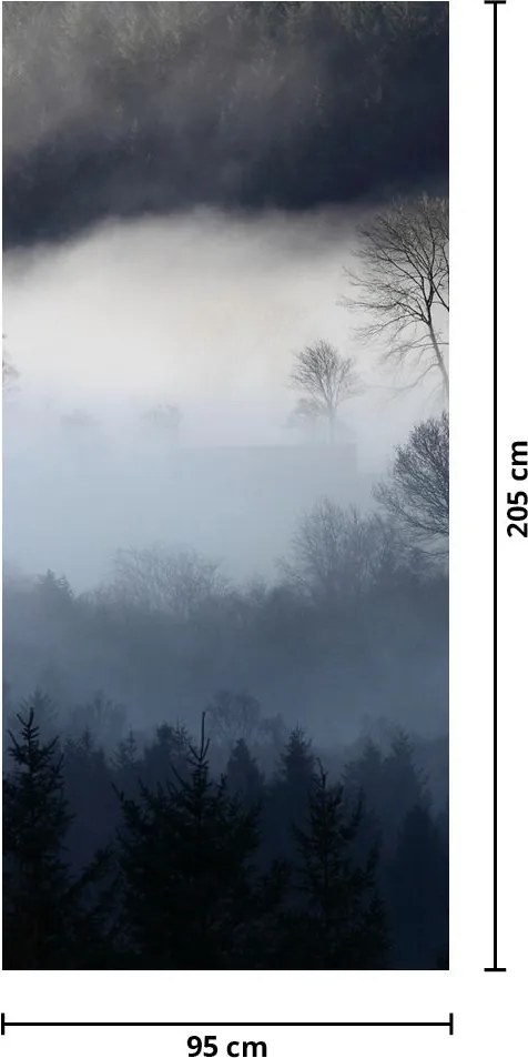 Fototapeta na drzwi - Mgła nad lasem (95x205cm)