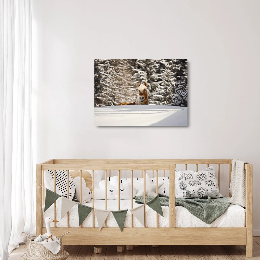 Obraz na szkle - Koń w zimowym krajobrazie (70x50 cm)