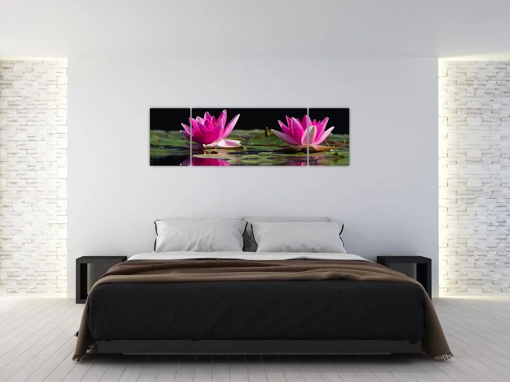 Obraz lilii wodnych na wodzie (170x50 cm)