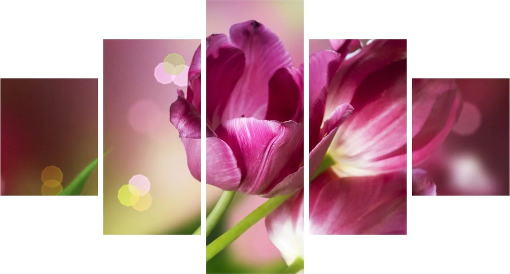 Obraz różowych tulipanów (125x70 cm)